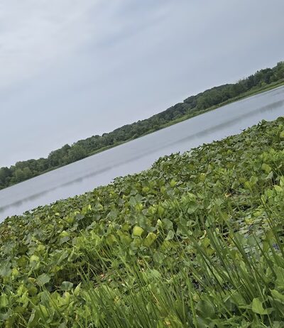 Kendallville Park & Recreation - Kendallville, IN