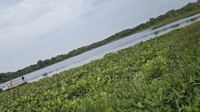 Kendallville Park & Recreation - Kendallville, IN