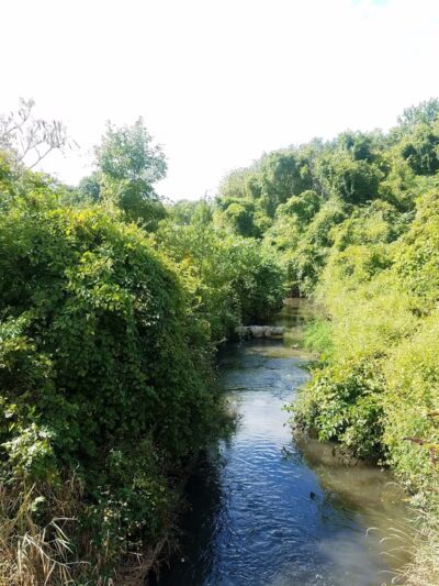 Sunset Park Kendallville, IN - Kendallville, IN