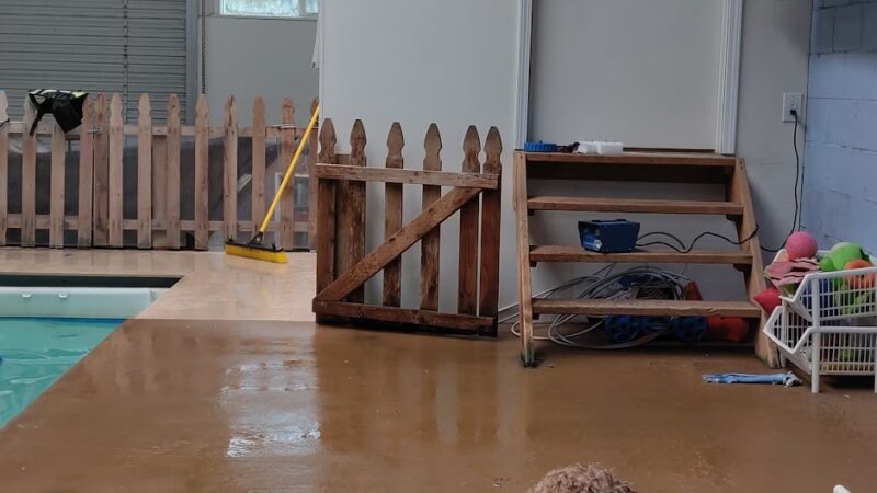 Bowwow Fun Towne - Kenmore, WA