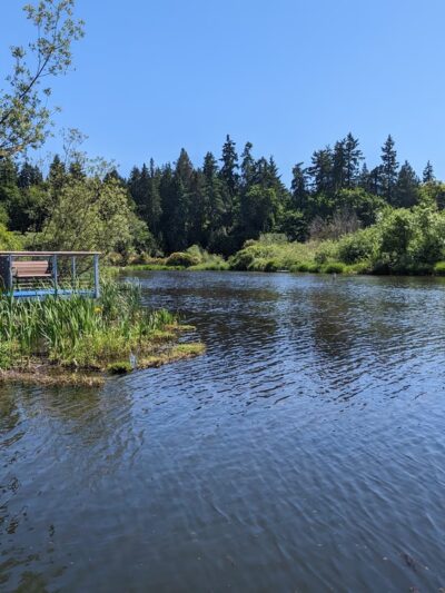 Kenmore Paddle Park - Kenmore, WA