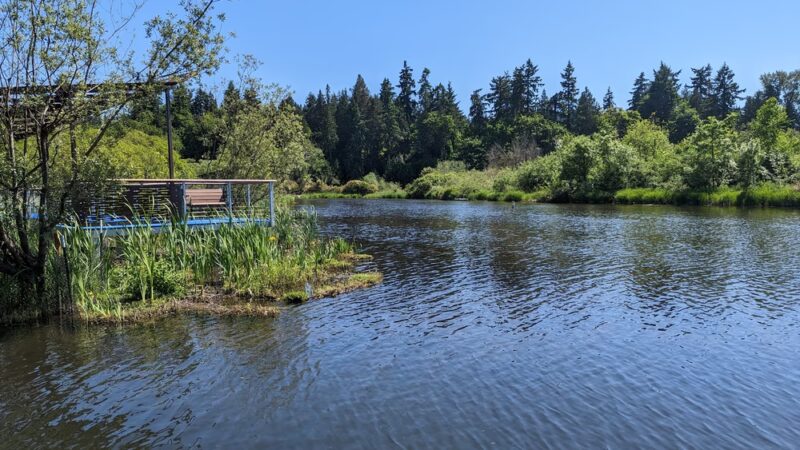Kenmore Paddle Park - Kenmore, WA