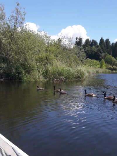 Kenmore Paddle Park - Kenmore, WA
