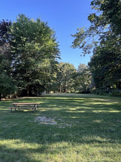 Linwood Park - Kenmore, WA