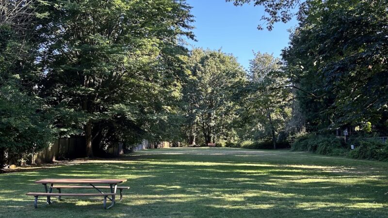 Linwood Park - Kenmore, WA