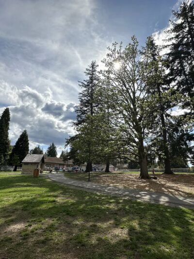 Moorlands Park - Kenmore, WA