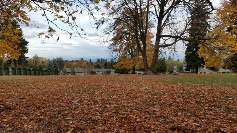 Moorlands Park - Kenmore, WA