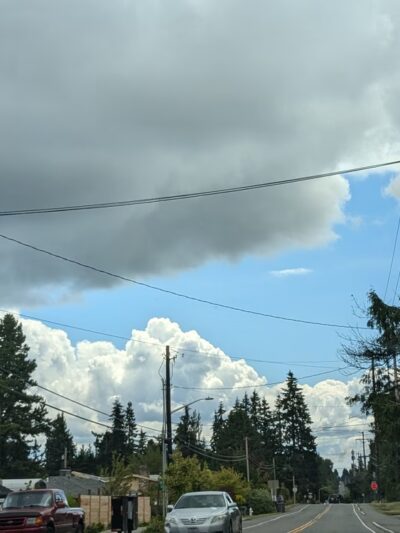 Moorlands Park - Kenmore, WA