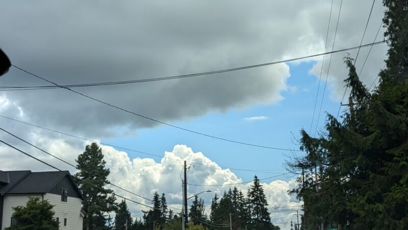 Moorlands Park - Kenmore, WA