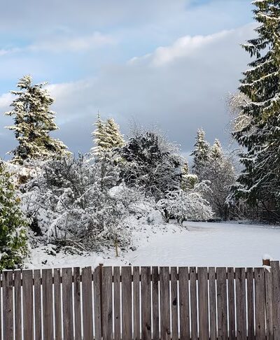 Northshore Summit Park - Kenmore, WA