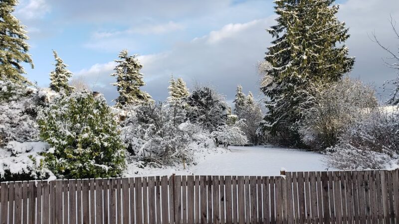 Northshore Summit Park - Kenmore, WA