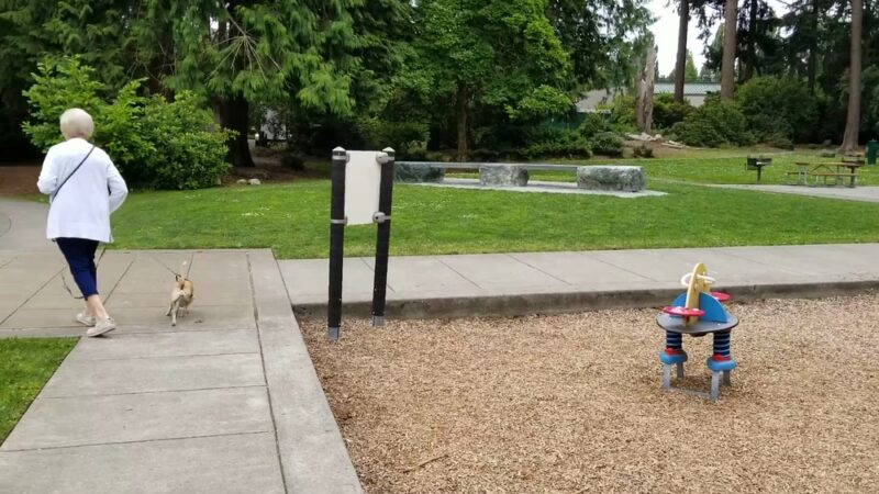 Rhododendron Park - Kenmore, WA