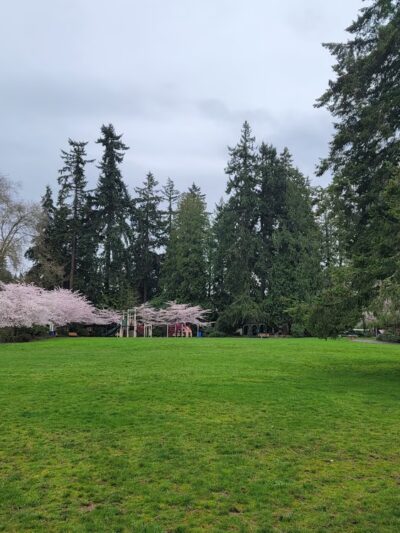 Rhododendron Park - Kenmore, WA