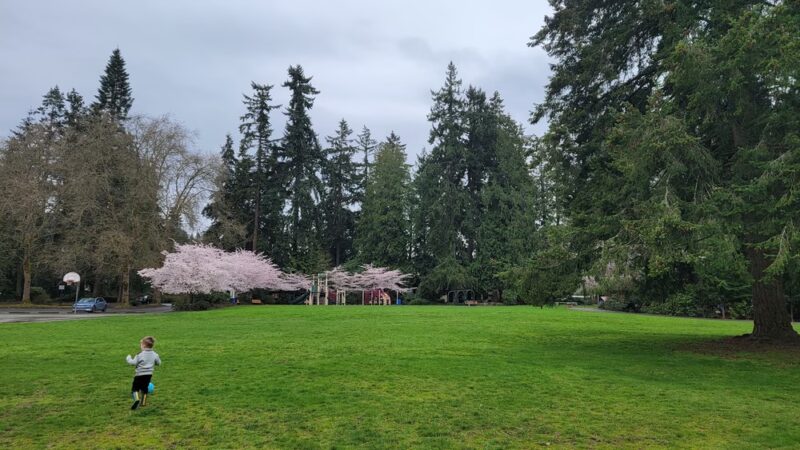 Rhododendron Park - Kenmore, WA
