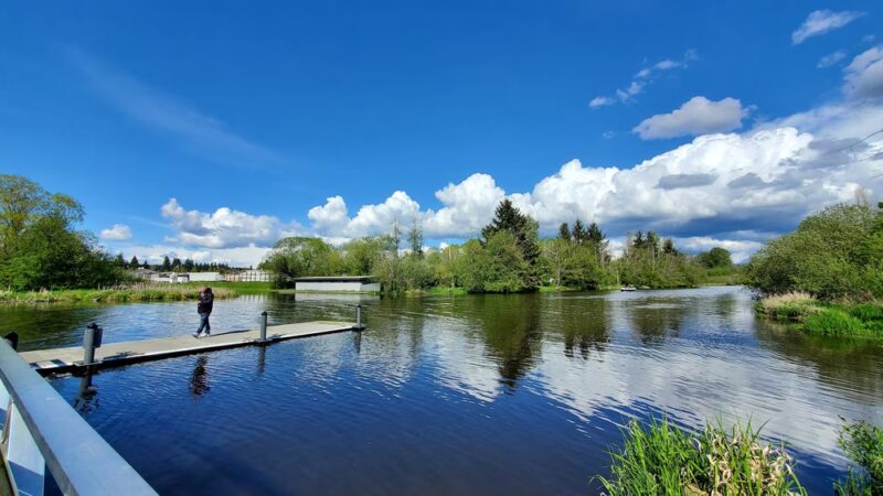 Rhododendron Park - Kenmore, WA