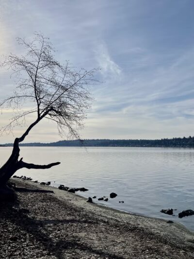 Saint Edward Beach - Kenmore, WA