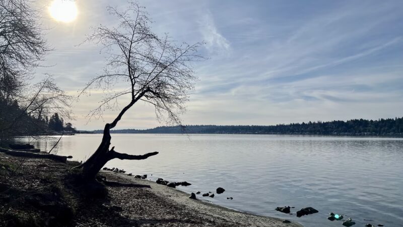 Saint Edward Beach - Kenmore, WA
