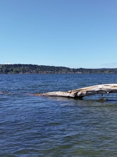 Saint Edward Beach - Kenmore, WA