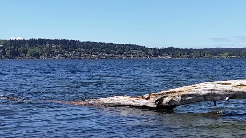 Saint Edward Beach - Kenmore, WA