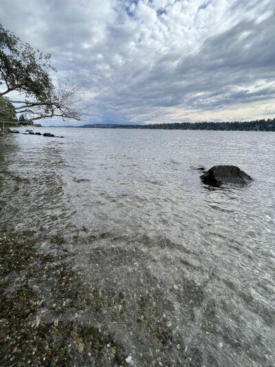 Saint Edward Beach - Kenmore, WA