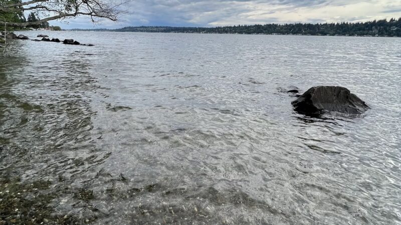 Saint Edward Beach - Kenmore, WA