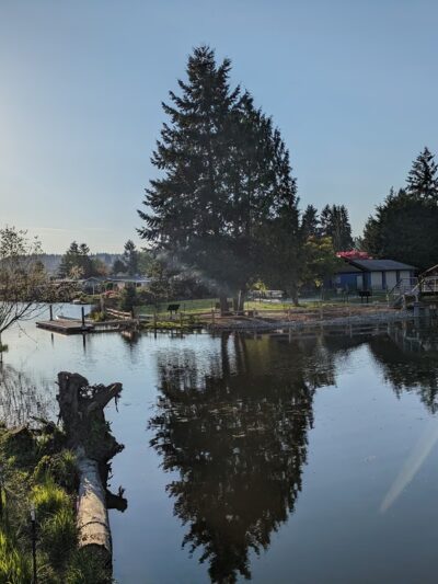 TI' awh-ah-dees Park (formerly Squire’s Landing Park) - Kenmore, WA