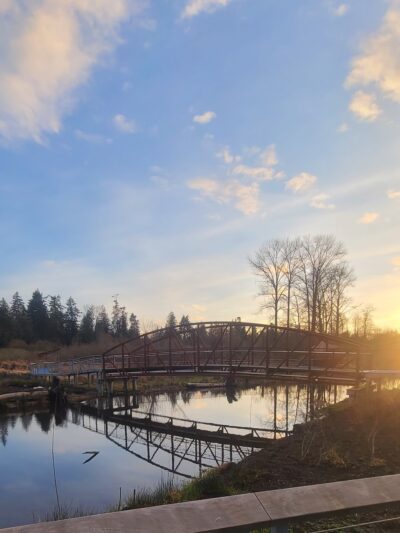 TI' awh-ah-dees Park (formerly Squire’s Landing Park) - Kenmore, WA