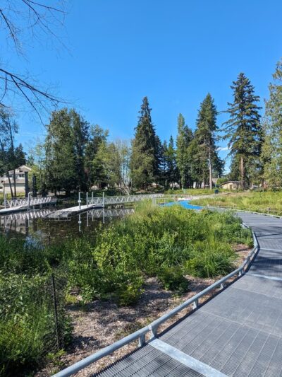 TI' awh-ah-dees Park (formerly Squire’s Landing Park) - Kenmore, WA