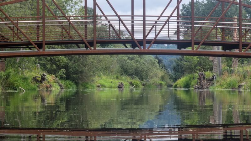 TI' awh-ah-dees Park (formerly Squire’s Landing Park) - Kenmore, WA