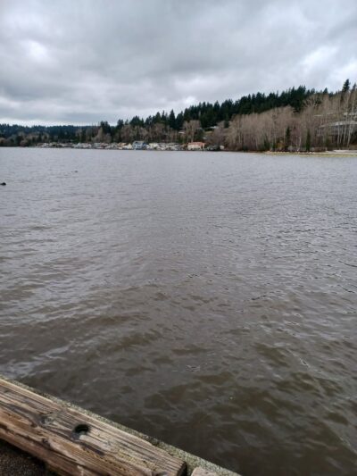 Tracy Owen Station at Log Boom Park - Kenmore, WA
