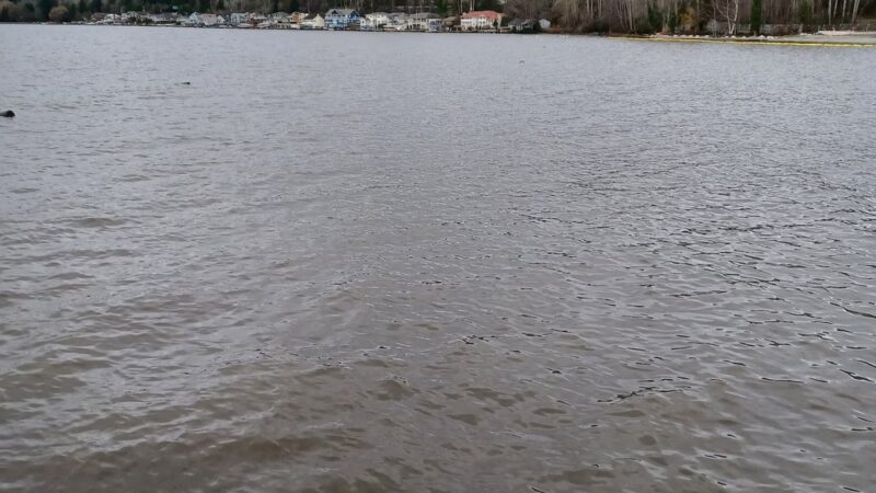 Tracy Owen Station at Log Boom Park - Kenmore, WA