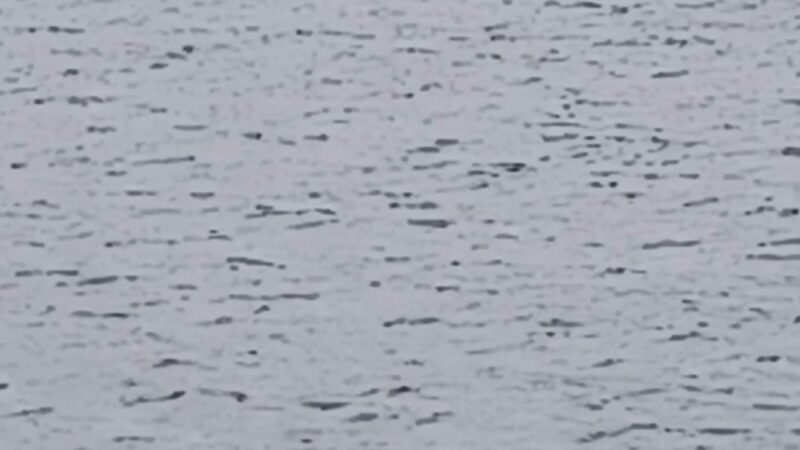 Tracy Owen Station at Log Boom Park - Kenmore, WA