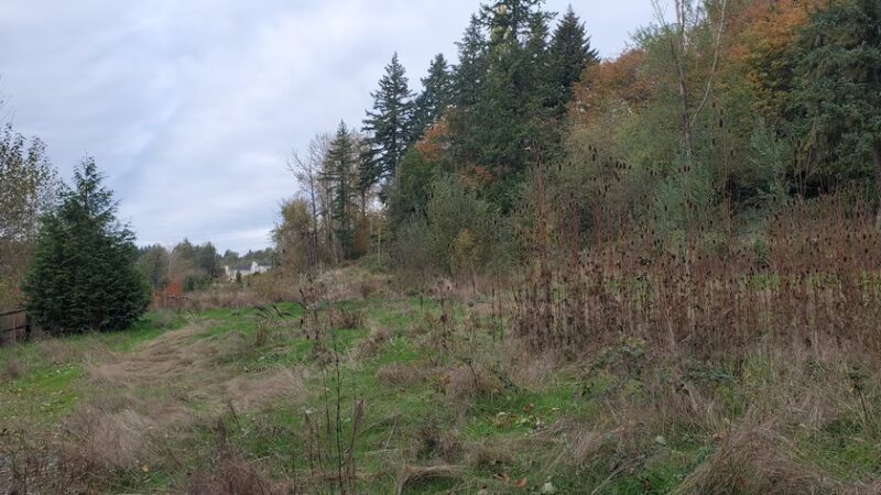 Twin Springs Park - Kenmore, WA