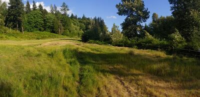 Twin Springs Park - Kenmore, WA