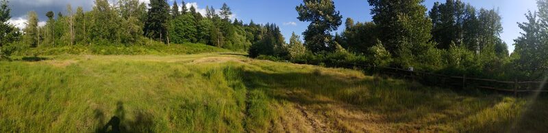 Twin Springs Park - Kenmore, WA