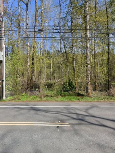 Twin Springs Park - Kenmore, WA