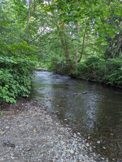 Wallace Swamp Creek Park - Kenmore, WA