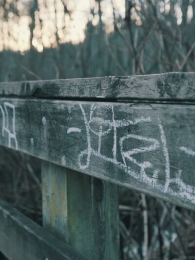 Wallace Swamp Creek Park - Kenmore, WA