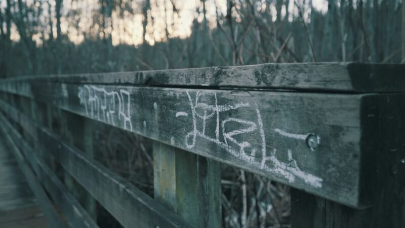 Wallace Swamp Creek Park - Kenmore, WA