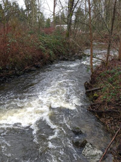 Wallace Swamp Creek Park - Kenmore, WA