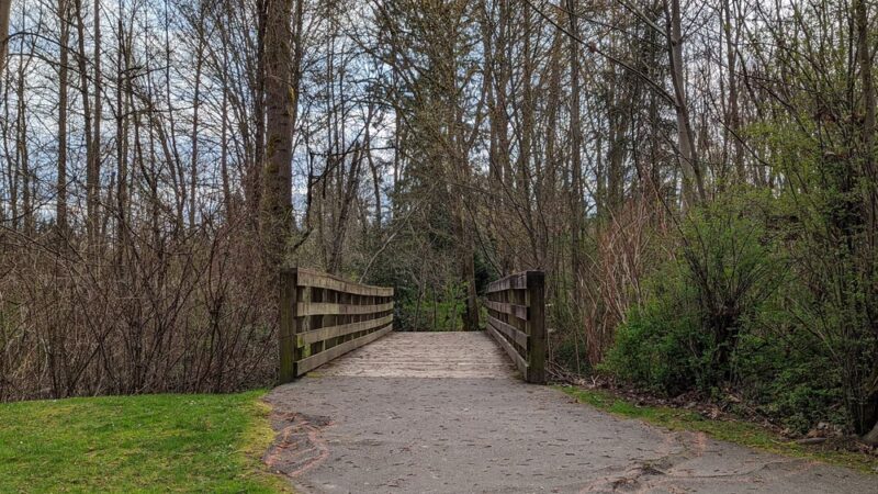 Wallace Swamp Creek Park - Kenmore, WA