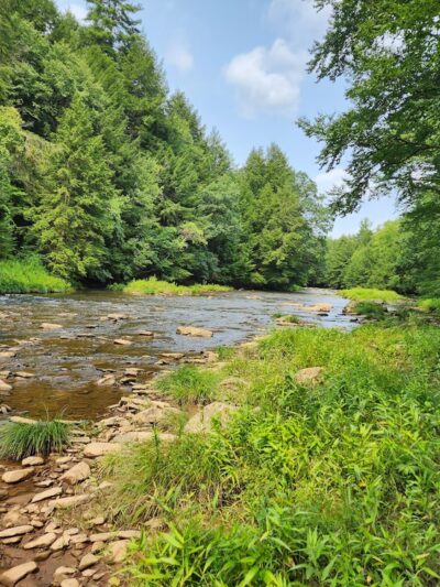 Sandy Creek Bike Trail - Rockland Road Access Point - Kennerdell, PA