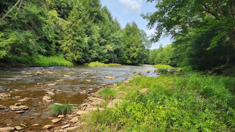 Sandy Creek Bike Trail - Rockland Road Access Point - Kennerdell, PA