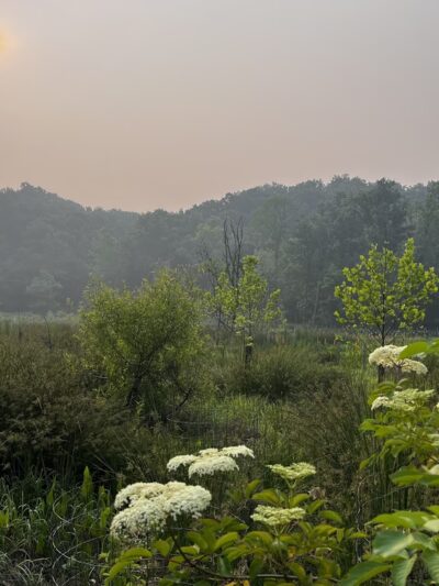 Ken-Gar Palisades Park - Kensington, MD