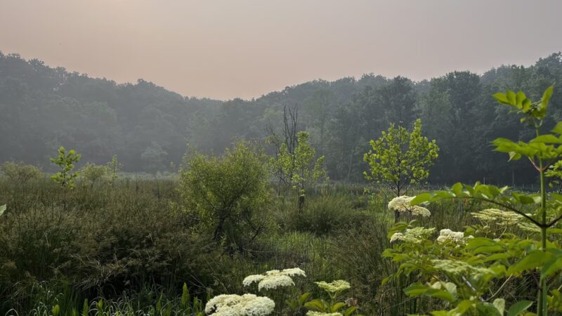 Ken-Gar Palisades Park - Kensington, MD