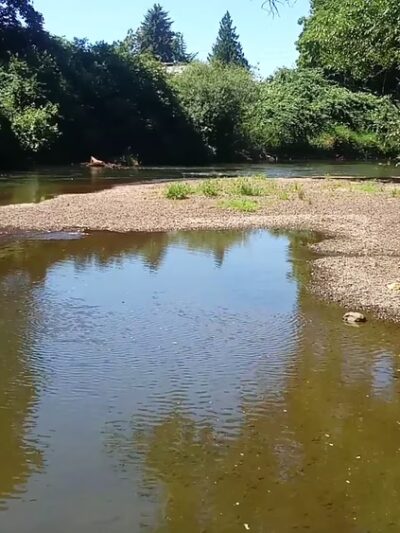 Foster Park - Kent, WA