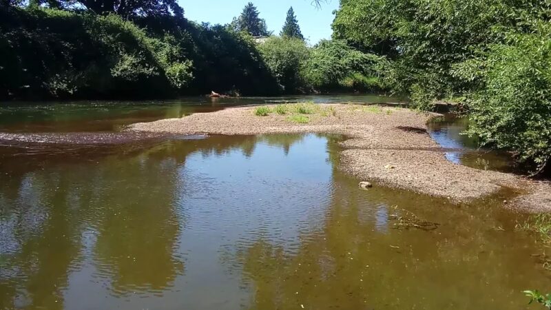 Foster Park - Kent, WA