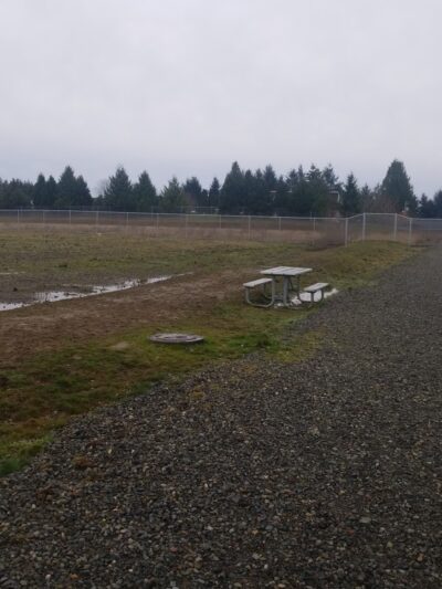 Kent Interim Dog Park - Kent, WA