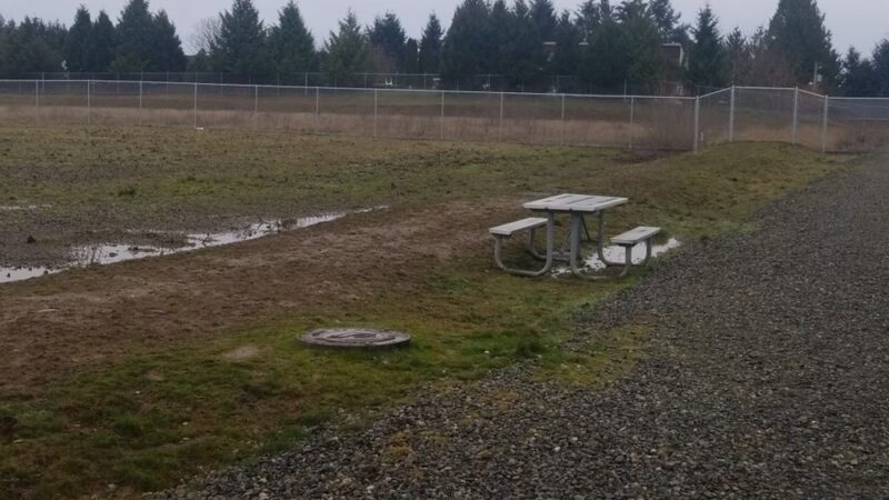 Kent Interim Dog Park - Kent, WA