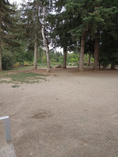 Morrill Meadows Dog Park - Kent, WA